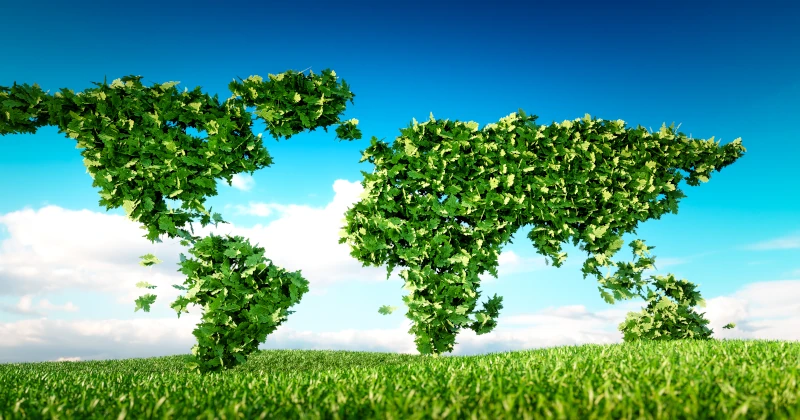 Program Czyste Powietrze